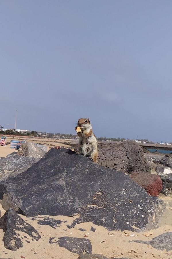 Holiday Rent Fuerteventura Costa De Antigua Dış mekan fotoğraf